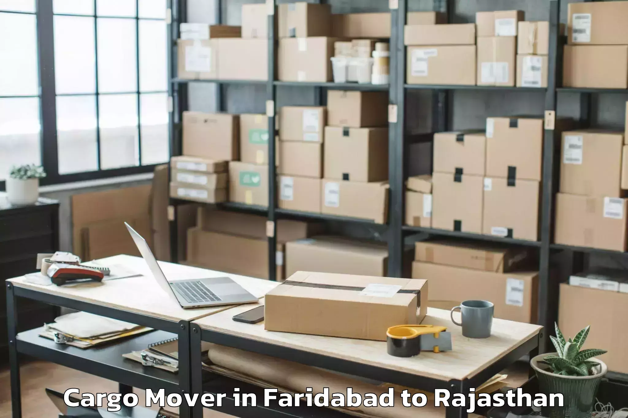 Get Faridabad to Dungarpur Cargo Mover